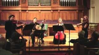 Paganini Quartet 15 for viola violin cello and guitar I Maestoso [upl. by Atekihc]