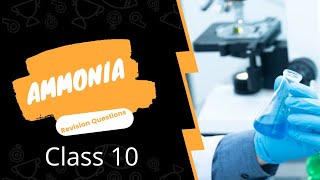 Class 10 Ammonia  Important Questions [upl. by Celesta117]