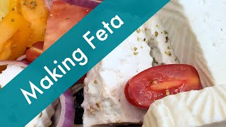 How to Make Feta at Home using Goats Milk Easy to Follow Steps [upl. by Ryder]