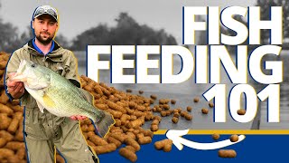 Everything To Know About Feeding Fish In Your Pond  Pond amp Lake Management Tutorial [upl. by Beare10]